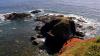 Lizard Point (2025)