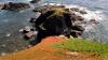 Lizard Point (2025)