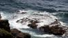 Lizard Point (2025)