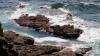 Lizard Point (2025)