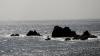 Lizard Point (2025)