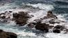 Lizard Point (2025)