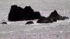 Lizard Point (2025)