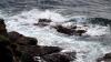 Lizard Point (2025)