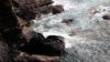 Lizard Point (2025)