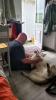 Snow - Unser spezieller Gast