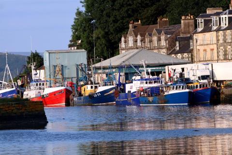Tarbert