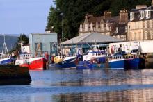 Tarbert