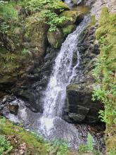 Aira Force Waterfall