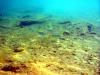 Griechenland - Portes Beach - Schnorcheln