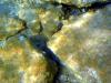 Griechenland - Portes Beach - Schnorcheln