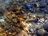 Griechenland - Portes Beach - Schnorcheln
