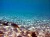 Griechenland - Portes Beach - Schnorcheln