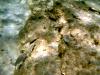 Griechenland - Portes Beach - Schnorcheln