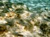 Griechenland - Portes Beach - Schnorcheln