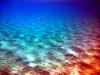 Griechenland - Portes Beach - Schnorcheln