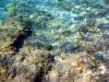 Griechenland - Portes Beach - Schnorcheln