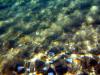 Griechenland - Portes Beach - Schnorcheln