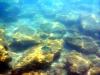Griechenland - Portes Beach - Schnorcheln
