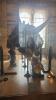 Natural History Museum London
