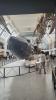 Natural History Museum London_14
