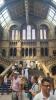 Natural History Museum London