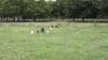 Wimpole Hall