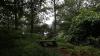 England - Stagshaw Gardens