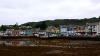 Schottland - Tarbert
