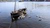 Schottland - Tarbert