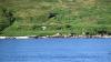 Schottland - Islay