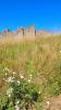 Schottland - Bamburgh Castle