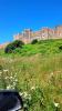 Schottland - Bamburgh Castle