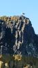 Schottland - Scotish Seabird Centre boat trip