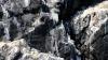 Schottland - Scotish Seabird Centre boat trip