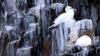 Schottland - Scotish Seabird Centre boat trip