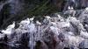 Schottland - Scotish Seabird Centre boat trip
