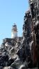 Schottland - Scotish Seabird Centre boat trip