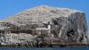 Schottland - Scotish Seabird Centre boat trip