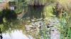 Freiburg - Botanischer Garten
