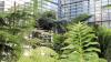Freiburg - Botanischer Garten