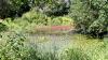 Achamore Gardens