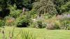 Achamore Gardens