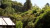 Achamore Gardens